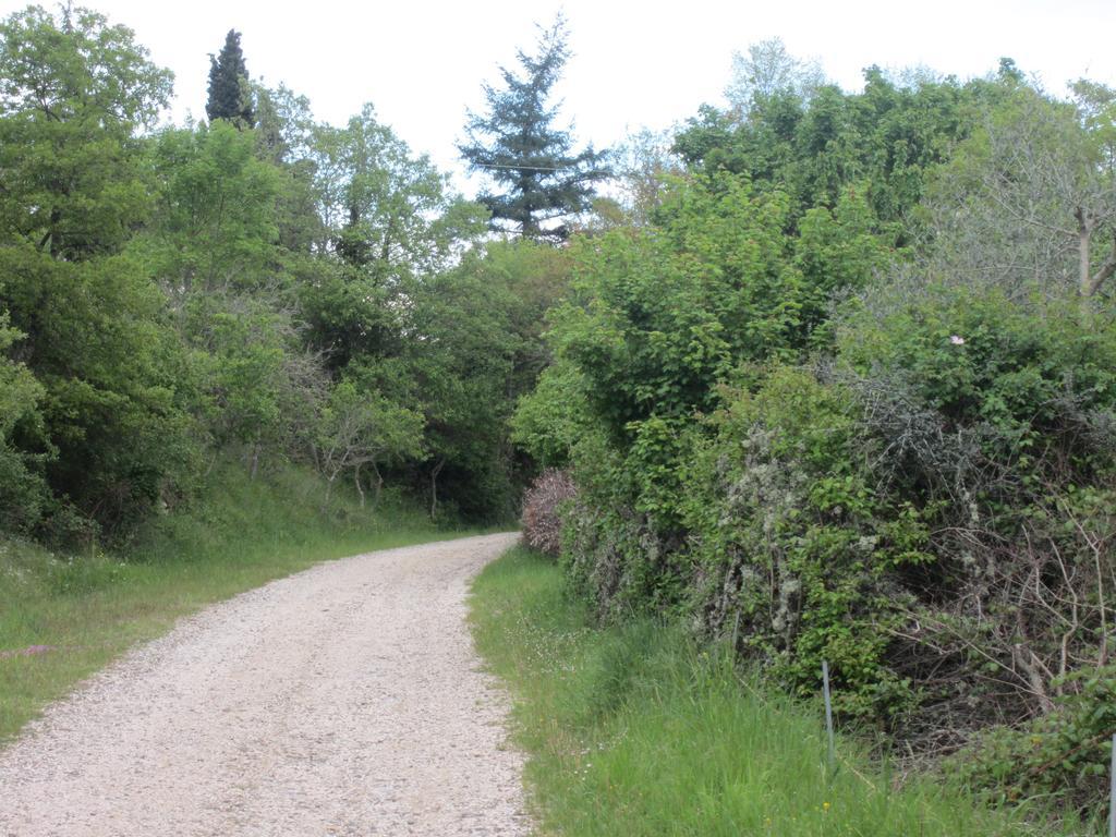 Bed And Breakfast Country Hill Arezzo Exterior photo