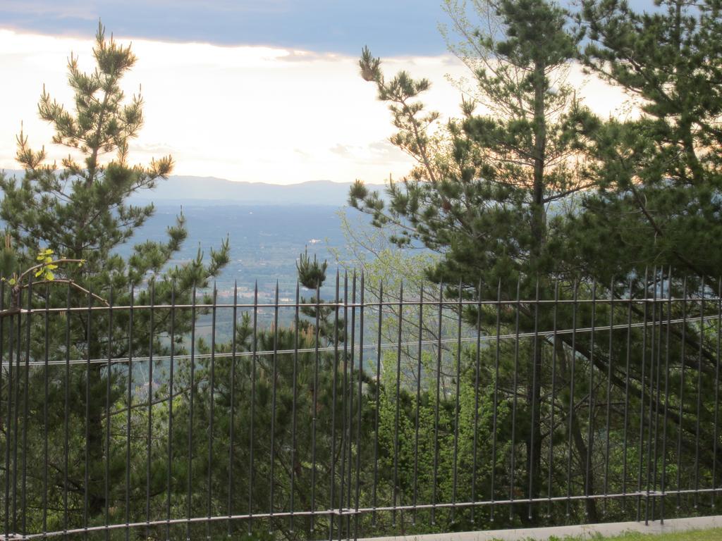 Bed And Breakfast Country Hill Arezzo Exterior photo