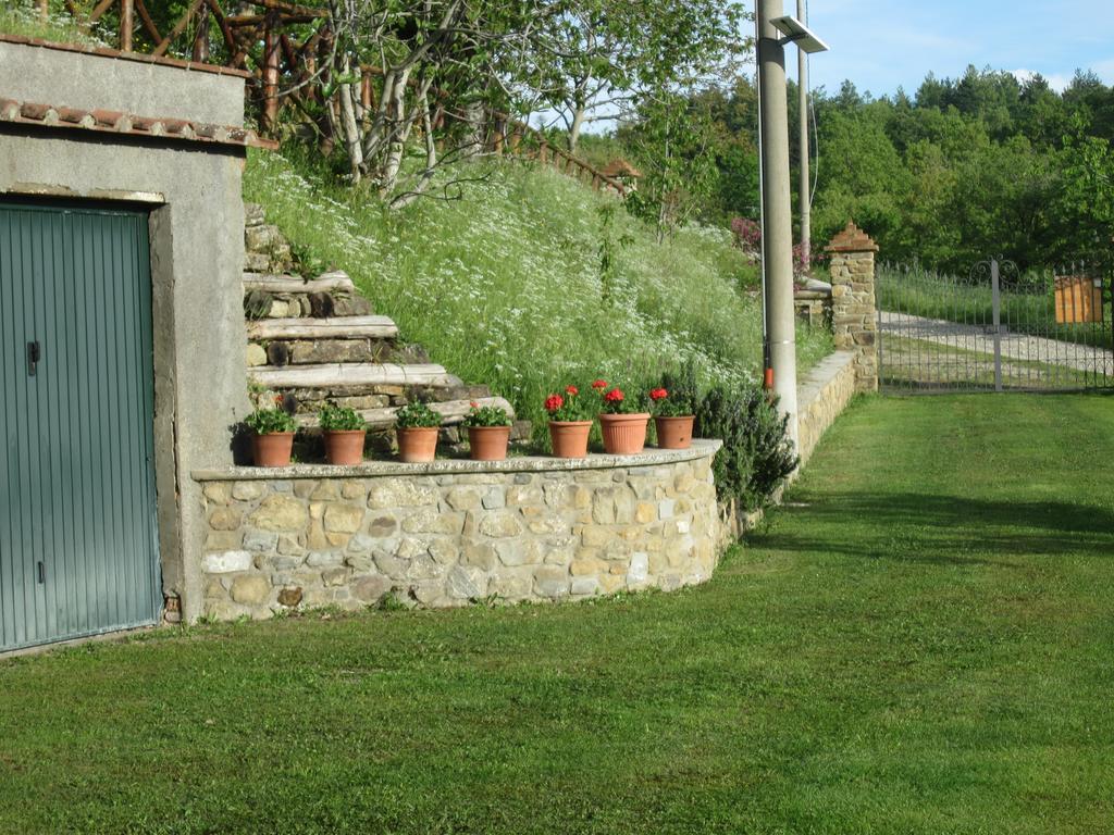 Bed And Breakfast Country Hill Arezzo Exterior photo
