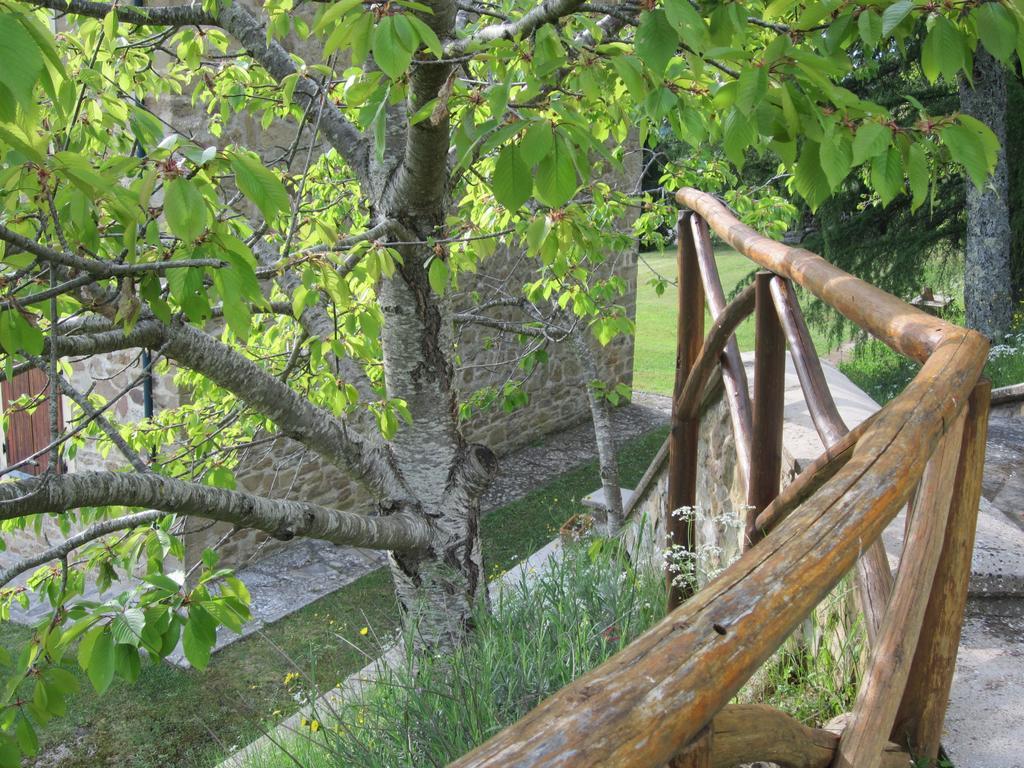 Bed And Breakfast Country Hill Arezzo Exterior photo