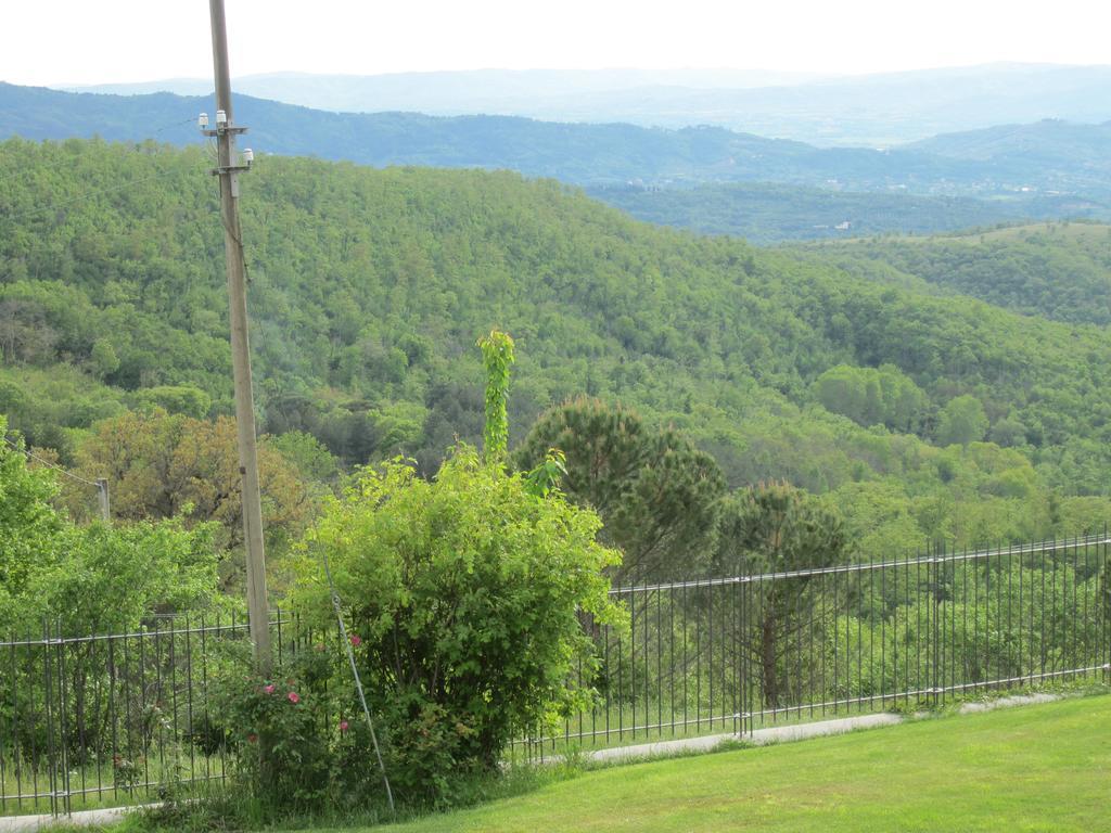 Bed And Breakfast Country Hill Arezzo Exterior photo