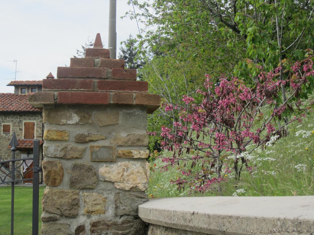 Bed And Breakfast Country Hill Arezzo Exterior photo