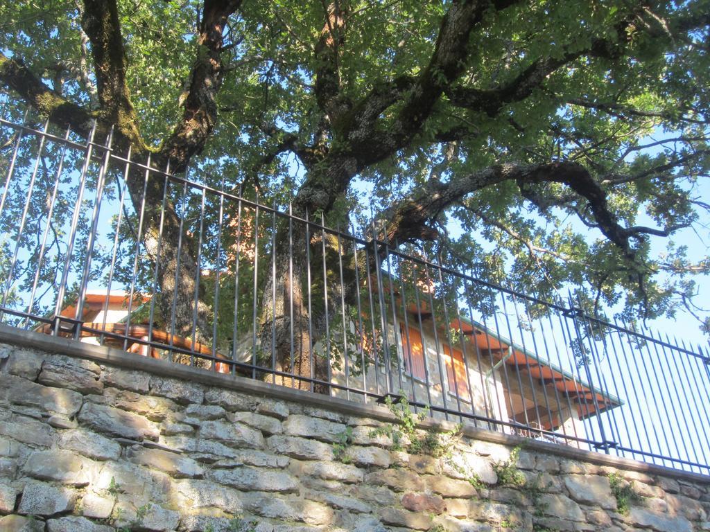 Bed And Breakfast Country Hill Arezzo Exterior photo