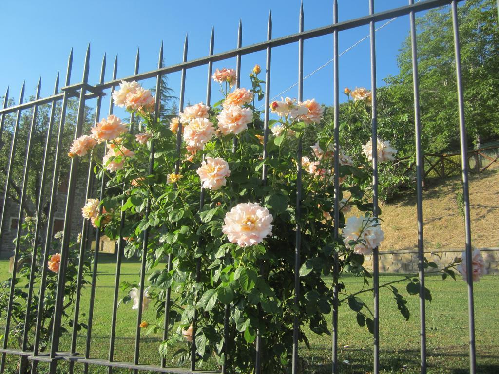 Bed And Breakfast Country Hill Arezzo Exterior photo
